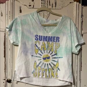 Aerie Blue and Green Crop Graphic Tee